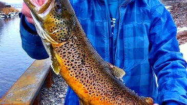 The 50 Best Photos From Field & Stream's Catchbook Fishing App  (October 2012)