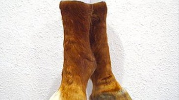 Bizarre Animal-Hoof Shoes