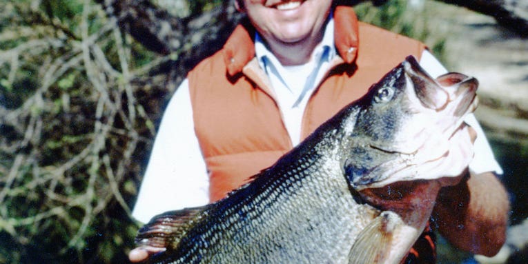 Biggest Bass Ever Caught: 11 Record-Breaking Lunkers