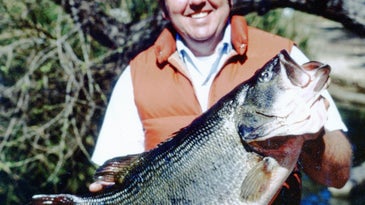 Biggest Bass Ever Caught: 11 Record-Breaking Lunkers