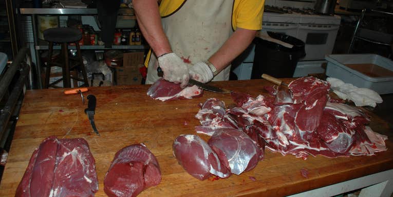 Ten Tips for Processing Big Game