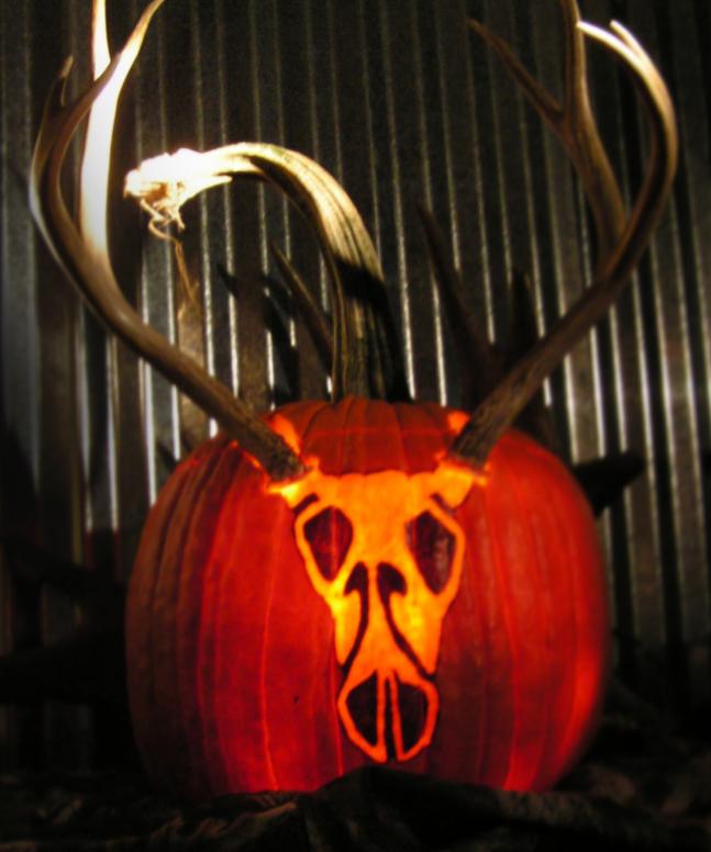 I always carve something with a hunting theme. I can't help it, Halloween falls in the middle of hunting season. This years carving is a Mule deer skull.