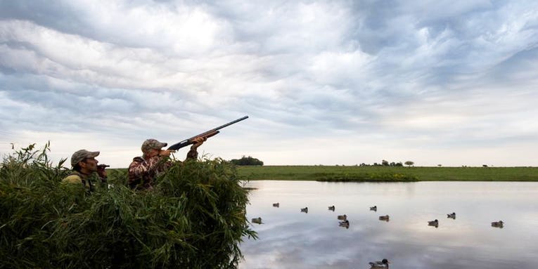 Why You Miss Ducks (And Other Insights From Our Waterfowl Guide Survey)