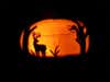 When I think of October 31st I think of big bucks on their feet. I shot my first buck on Halloween when I was 13 years old. Two years ago I shot a big 4 year old ten pointer on Halloween. It is one of my favorite days to be in the timber. This pumpkin depicts a scene I hope to encounter each year.