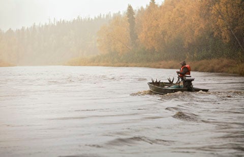 Gary Hakkinen steers his johnboat on a tributary of the Yukon River in southwest Alaska, hauling out a bull moose with a 58-inch rack last September. After a rainy week of sighting only grouse, Hakkinen and photographer Bill Buckley were sitting in camp on the eighth day and heard grunting right outside their tent walls. "After all our effort--hiking and glassing for hours, soaking wet and tormented by mosquitoes--a moose walks right into camp," says Buckley. Hakkinen made a 12-yard shot, and the moose dropped 30 yards from the boats, making for an easy pack out. "You really see what 1,500 pounds looks like when you're standing over a downed bull thinking, 'Now I have to skin and quarter this!'"<br />
<strong>Location:</strong> Holy Cross, Alaska<br />
<strong>Issue:</strong> November, 2011<br />
_Photo by Bill Buckley<br />
_