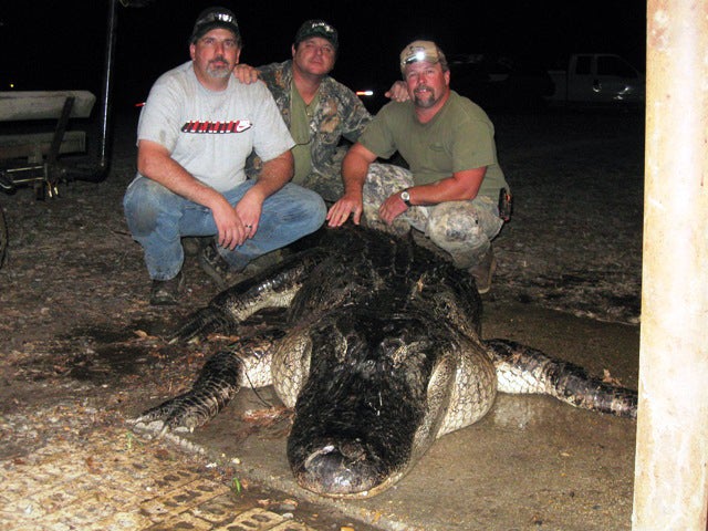 <strong>Mississippi became the second</strong> southern state to rewrite its alligator record book this fall when Thomas Grant (right) of Boyle, Mississippi, hauled in a 697.5 pounder on September 21 that topped the existing heavyweight by 7 pounds. Grant was hunting with friends on a private hunting club in Issaquena County, 16 miles north of where the previous record gator was caught last year. Grant's record catch came just one week after Mike Cottingham reset the Arkansas record book with a 13-foot-3-inch, 1,300-pound gator in Hempstead County, Arkansas.