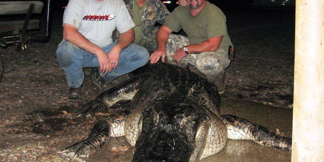 Record Mississippi Gator Nearly Flips Hunters’ Boat During 2-Hour Fight