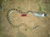 A friend of mine sent me this pic. The Rattler was eating the one of doves shot during their dove hunt.