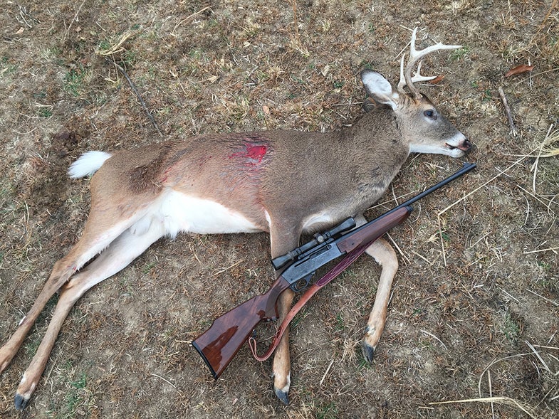 dead buck and Remington 7400