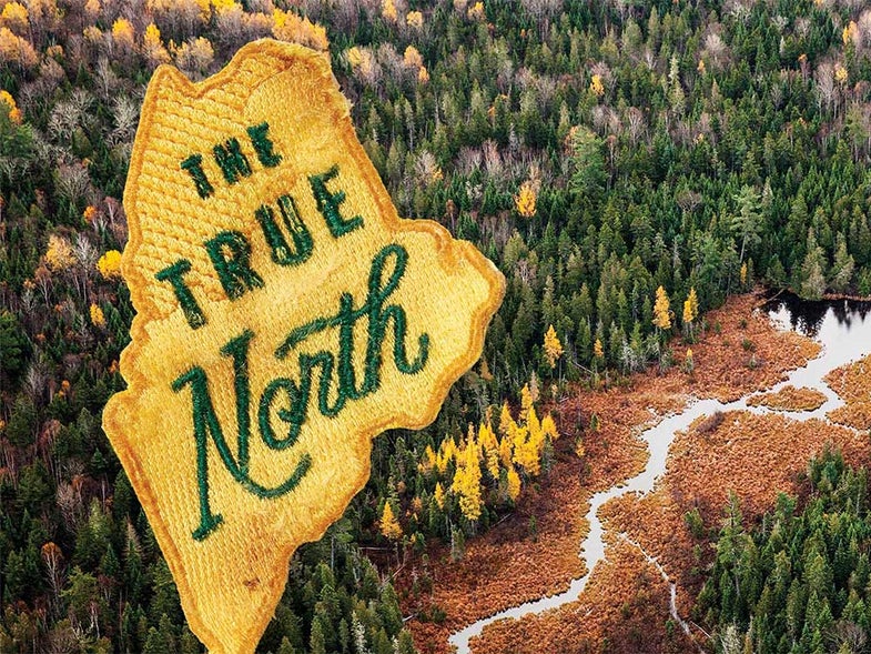 The Maine North Woods
