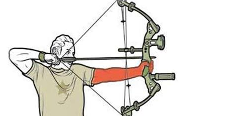 Learn To Shoot a Bow Like an Expert