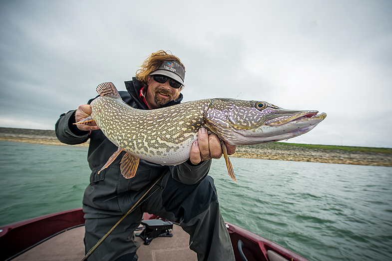 spring pike fishing, pike fishing, how to find pike in spring, spring pike,