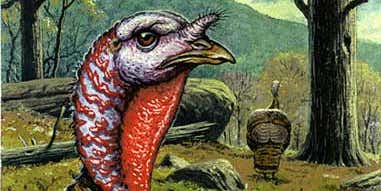 Seven Old-School Turkey-Hunting Tips From Field & Stream