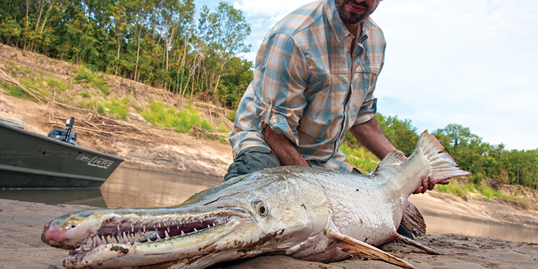 A Complete Guide to Catching Alligator Gar