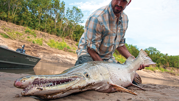 A Complete Guide to Catching Alligator Gar