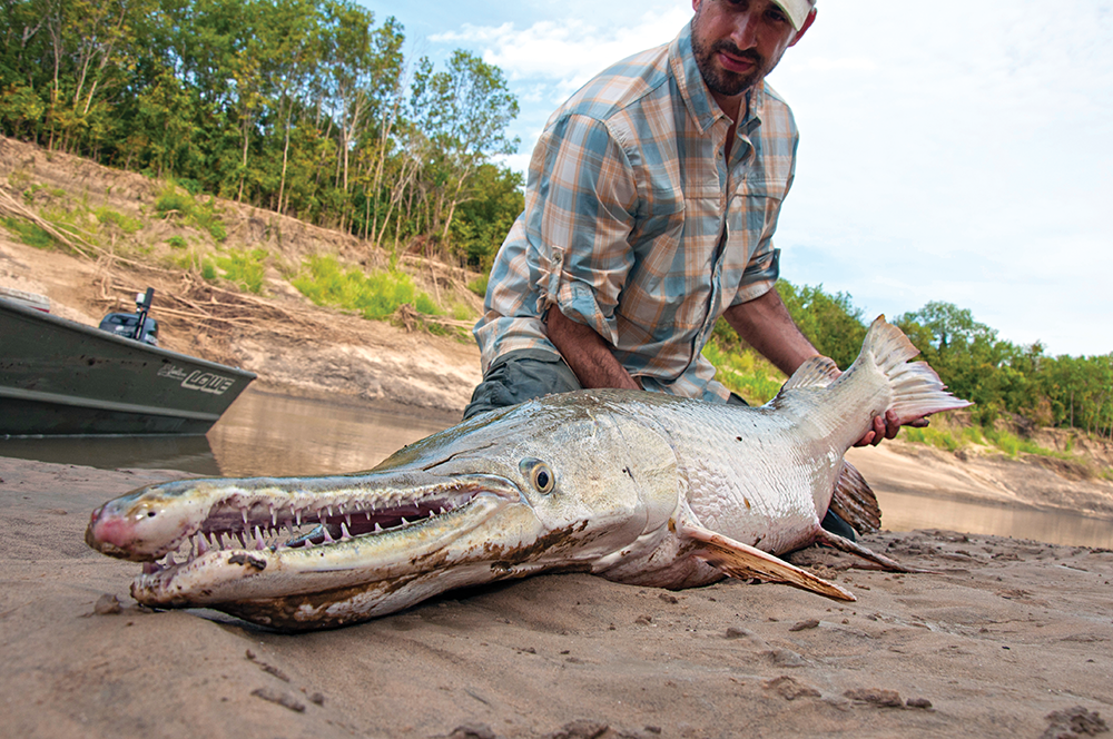 Fishing Tips: How to Fish for Huge Alligator Gar | Field & Stream