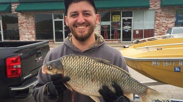 Missouri Bowfishermen Break State Record Three Times in Two Weeks