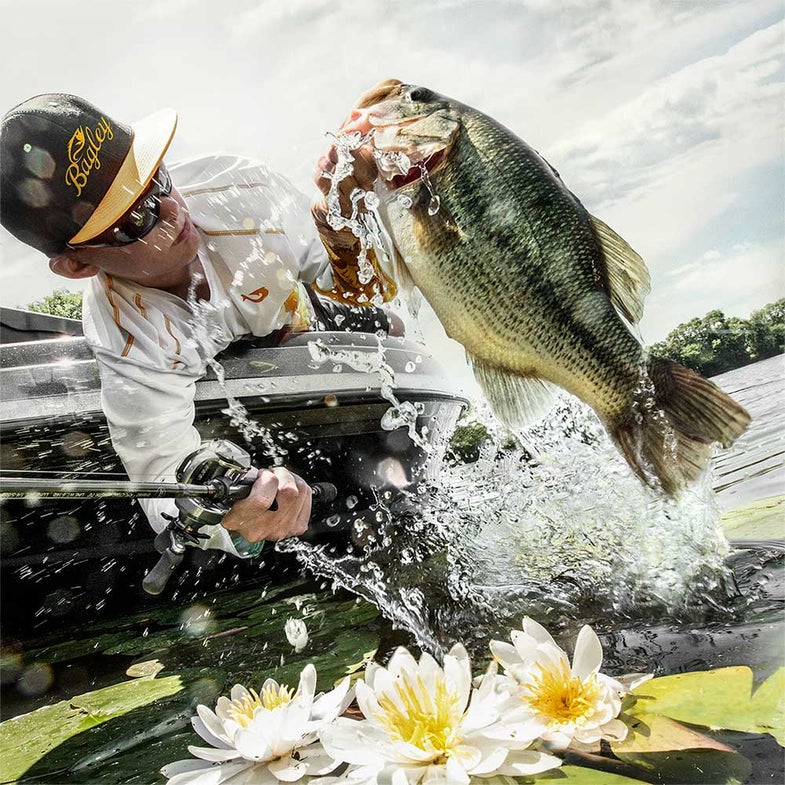 How to Catch Lunker Bass in Lily Pads
