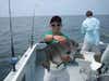 Saltwater success in South Carolina with Sea Wolf Charters.