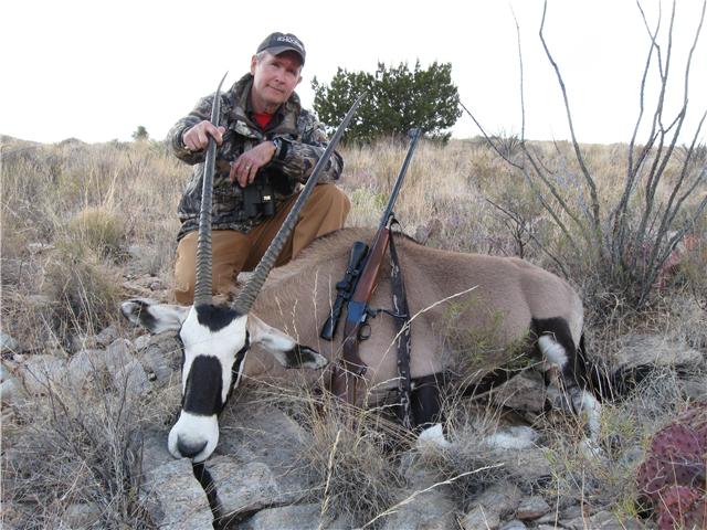 NM Oryx are a legacy of Frank Hibben, an anthropology professor and real world Indiana Jones who was on the NM game commission. Love them or hate them, they have added variety to big game seasons for NM hunters. This was my first Oryx taken during a depredation hunt at 260 yards with a Ruger No. 1 .300 Win Mag.
