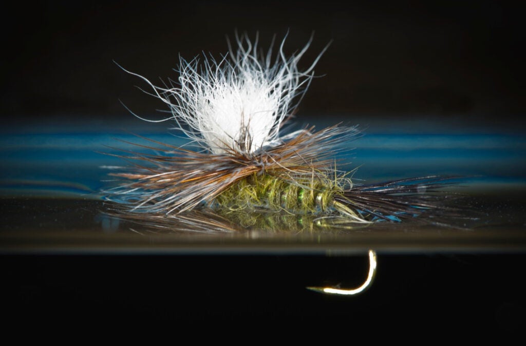 Fly Fishing Guide to Dry Fly Wing Styles