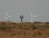 Oklahoma's wind power may be clean energy, better than oil or natural gas, but the spread of windfarms still hurts hunting and wildlife habitat, like the quail and prairie chicken grounds at Cooper Wildlife Management Area if not regulated