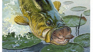 49 Classic Fishing Tips From Field & Stream Magazine