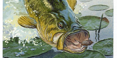 49 Classic Fishing Tips From Field & Stream Magazine
