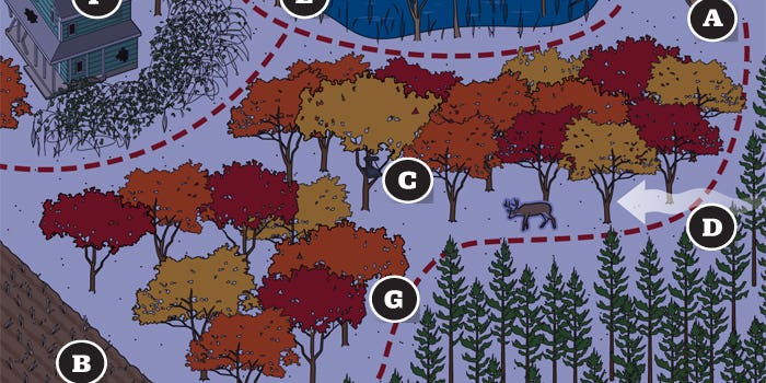 How and Where to Hunt a Trophy Buck That Only Shows Up at Night