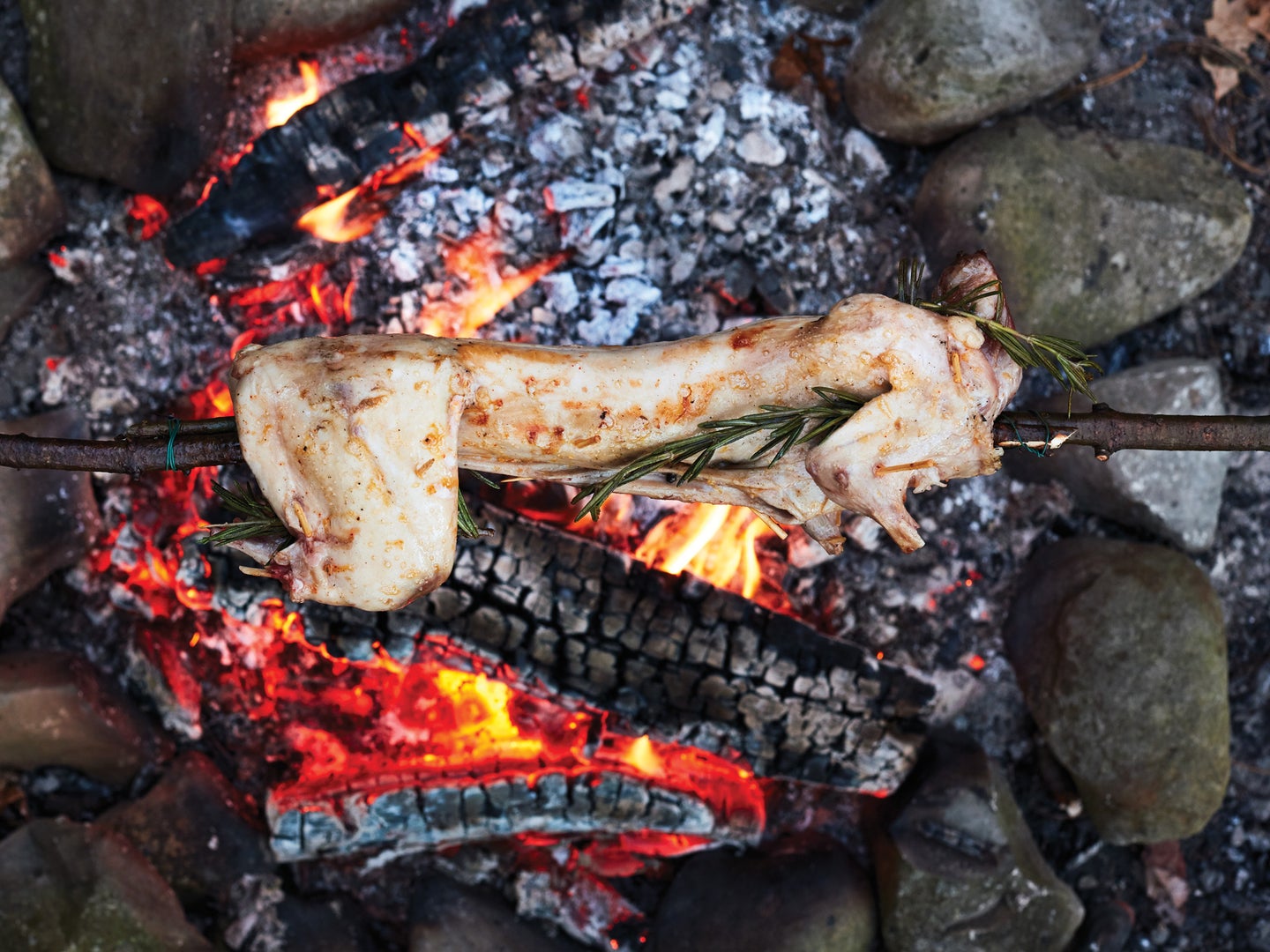 wild game recipe for spit roasted rabbit