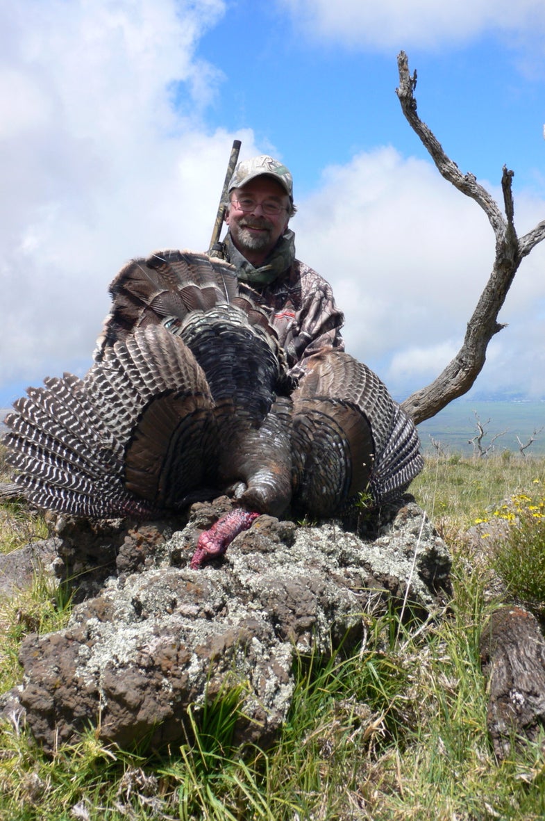 Last month, Editor Anthony Licata asked if I would mind going to Hawaii to hunt turkeys, for a <em>Field & Stream</em> article. Hawaii, he explained, is turkey hunting's little secret, with a huge population of Rio Grandes on the big island and practically no hunting pressure. If you're on vacation with your family, taking a day off from beach duty to get in some quality hunting is a great way to break up your trip.