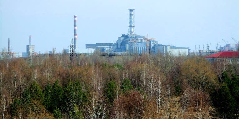 New Study Finds Abundant Wildlife Among Chernobyl’s Ruins