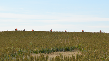 Welcome to Roosterland: Scenes from a South Dakota Pheasant Hunt