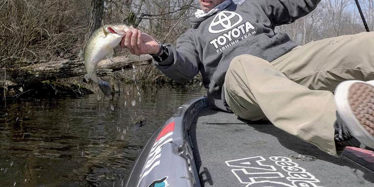 Spring Bass Secrets from Mike Iaconelli