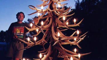 Using Real Antlers to Build Christmas Trees That Last Forever