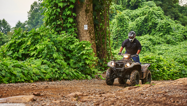 3 Reasons Not to Buy a Knock-Off ATV