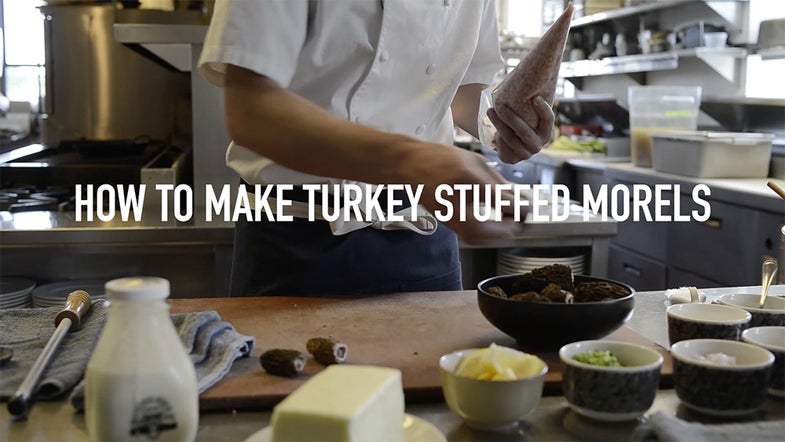 turkey-stuffed morel mushroom recipe