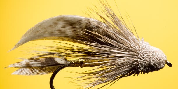 The Muddler Minnow: Best Fly for Fall Trout