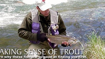 Making Sense of Trout