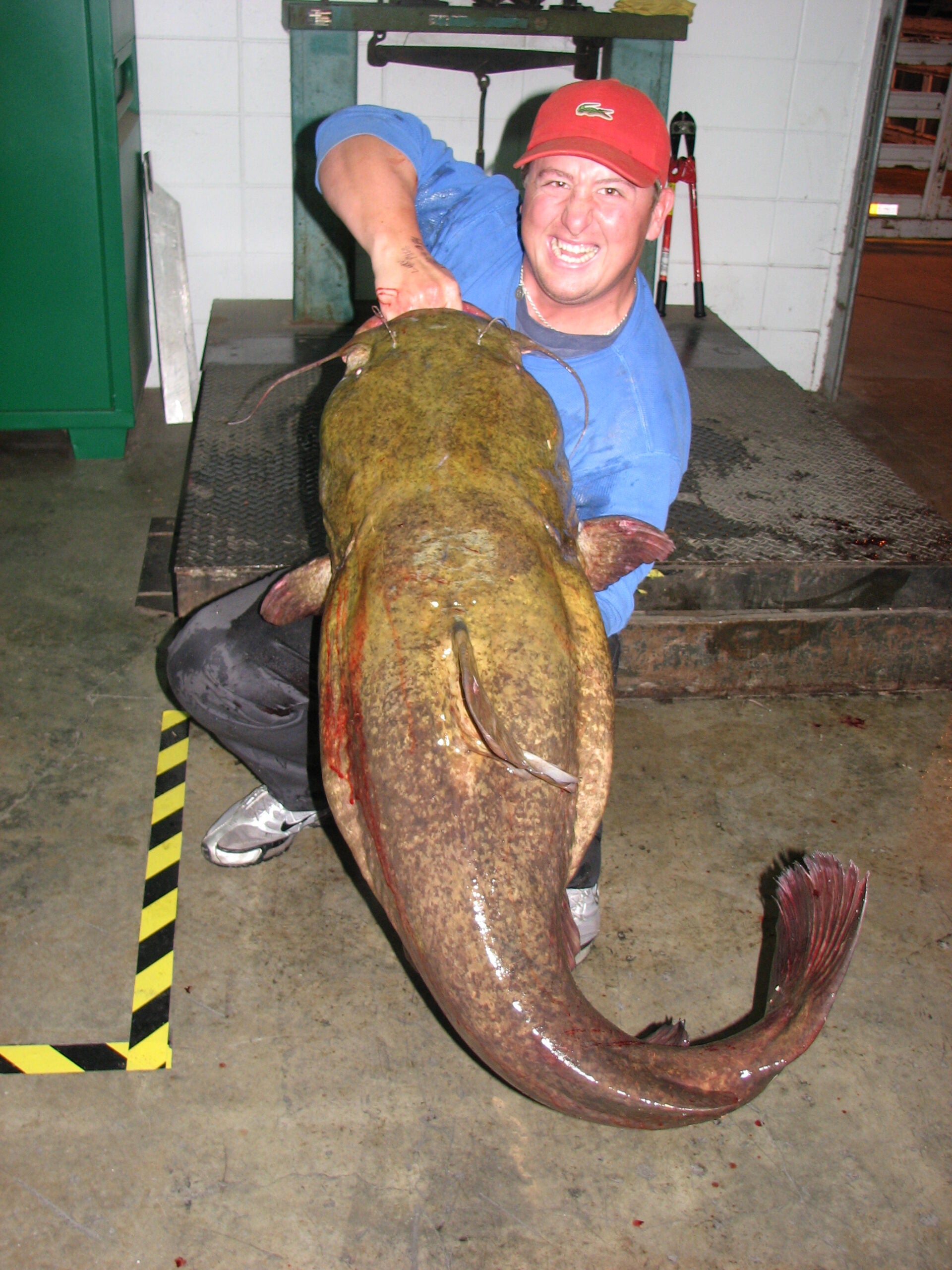 Caledonia, Mississippi Angler Catches (and Releases) State Record Flathead  Catfish