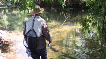 Fly-Fishing Tip: Consider Shadows and Sun