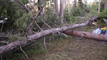 Close Call: Crushed by Two Trees During Backcountry Storm