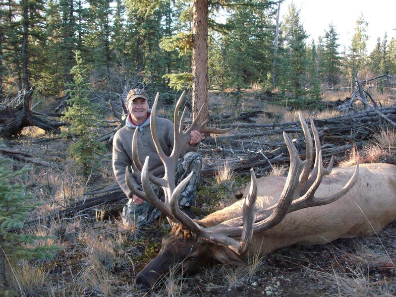 On September 25, 51-year-old Canadian sheep guide Alan Klassen killed his first-ever elk, which also happened to be one of the first animals taken during the Yukon's first-ever public elk hunt--and a specimen that ranks first on the short-but-growing list of trophy Yukon bulls. Hunting one of two introduced elk herds in the southwestern Yukon, Klassen called in and dropped an enormous 9x10 nontypical bull that unofficially gross-scores 451 inches. It is the largest elk ever taken in the Yukon--at least for now. Having never been seriously hunted, both herds contain a number of huge bulls and the inaugural season lasts into March. But until someone tops it, Klassen's is the territory's No. 1 bull.