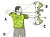 compound bow stance illustration