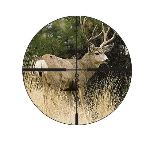 deer in crosshairs