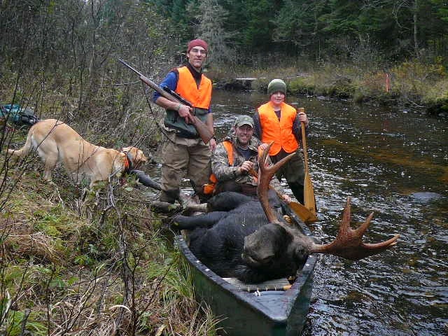 My Son Jed Age 11, our friend Chris and me with our 715 lbs, 37 1/2 inch spread bull moose shot in October 2009 on the Black Branch of the Nulhegan.