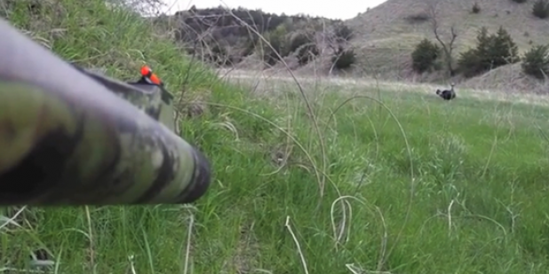 The Secret to a Great Turkey Hunt: Don’t Shoot