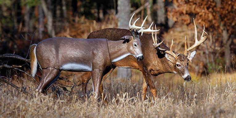 How to Decoy Bucks for the Hottest Action of the Rut