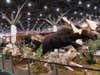 sci convention moose and wolves taxidermy