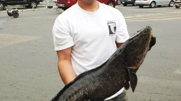 Photos: Potential World Record Snakehead Caught in the Potomac River